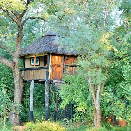 Ivory Lodge Dete Exterior photo
