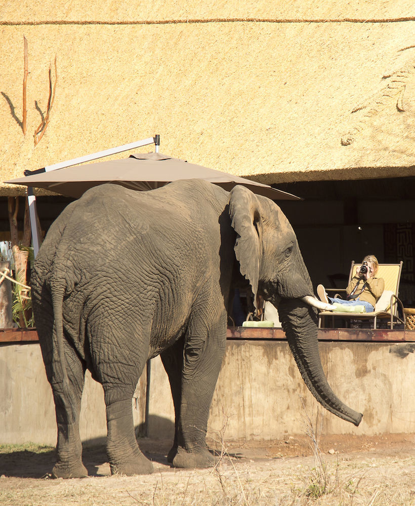 Ivory Lodge Dete Exterior photo
