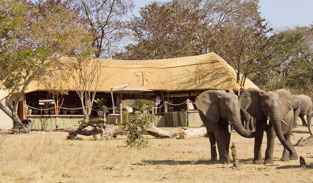 Ivory Lodge Dete Exterior photo